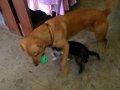 WP_20160516_003.jpg